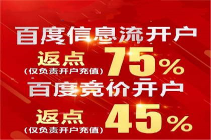 百度竞价代理实战技巧：经典案例深度解读